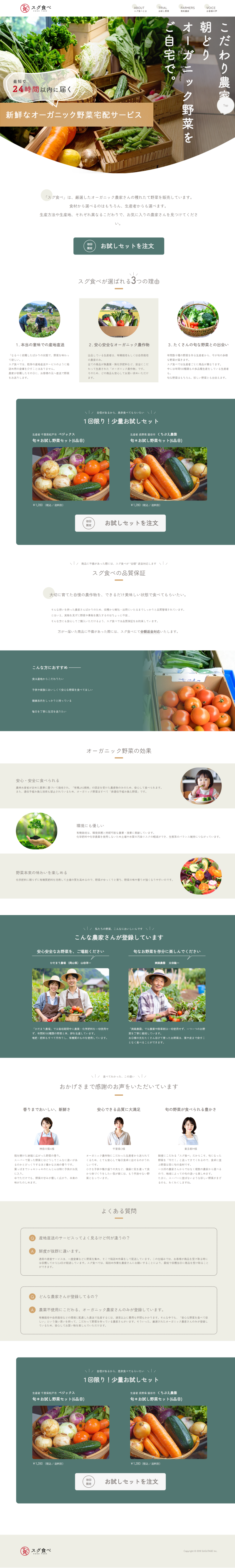 オーガニック野菜の販売LP全体図